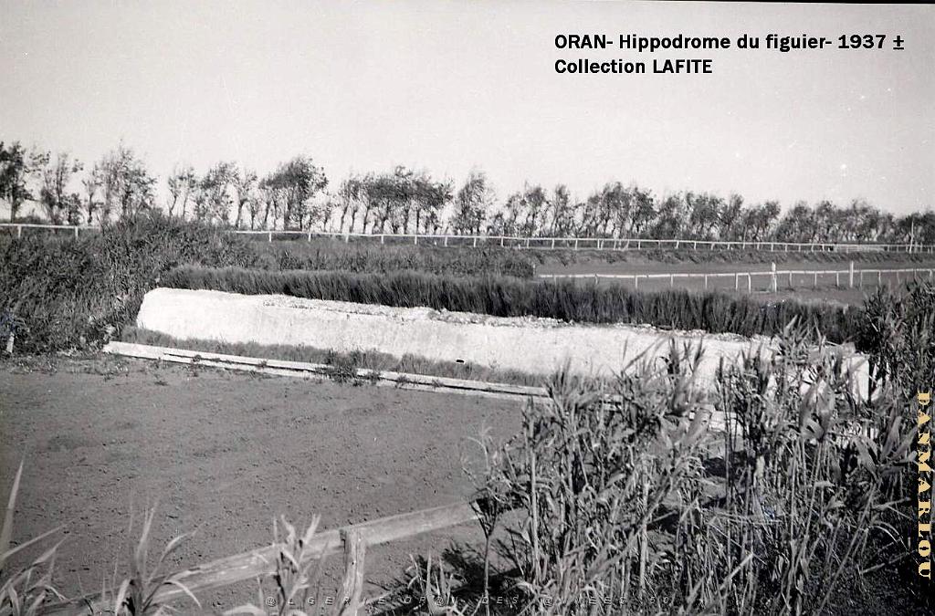 ORAN 1937 HYPPODROME DU FIGIER    (21).jpg